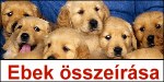 ebek